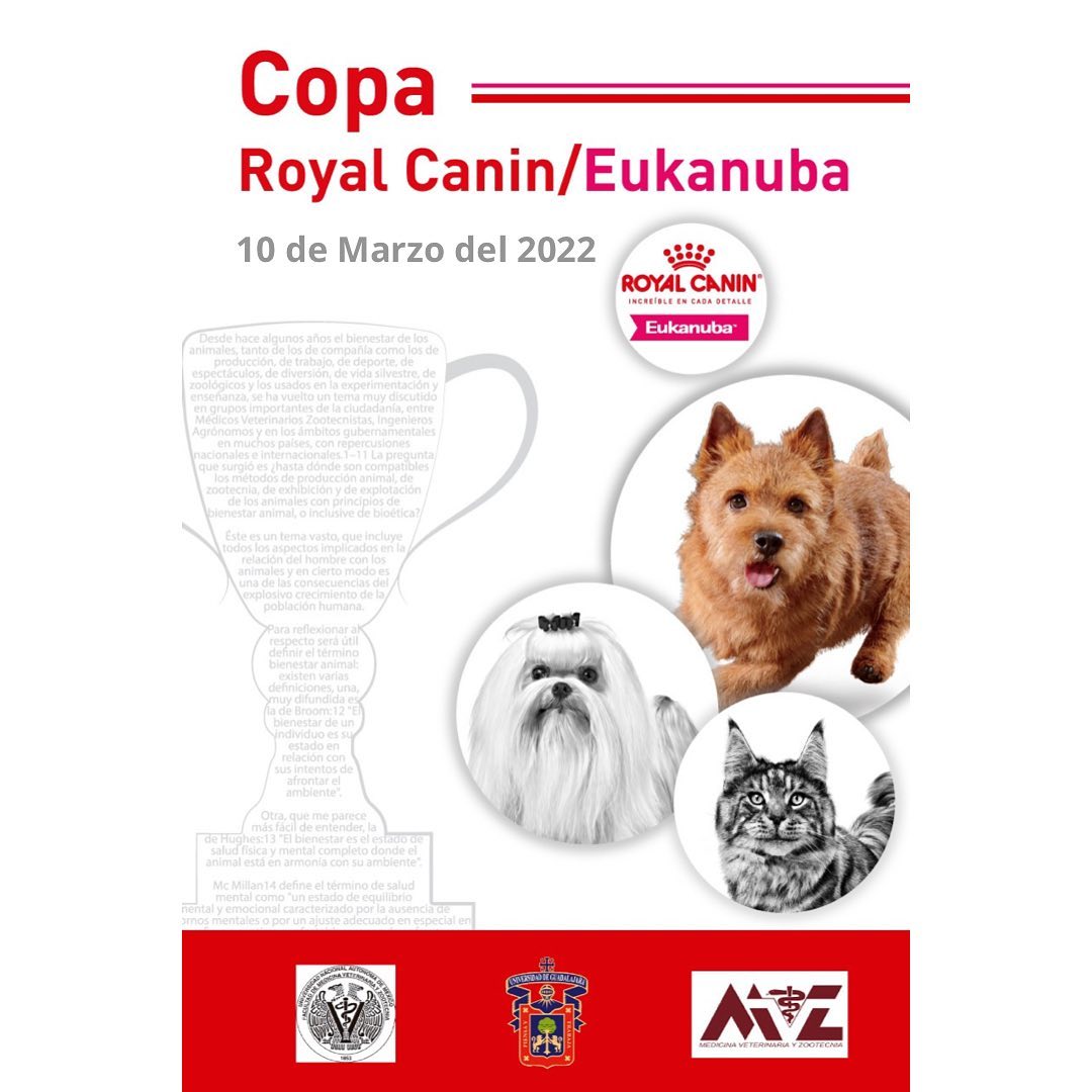 Copa Royal Canin/Eukanuba
